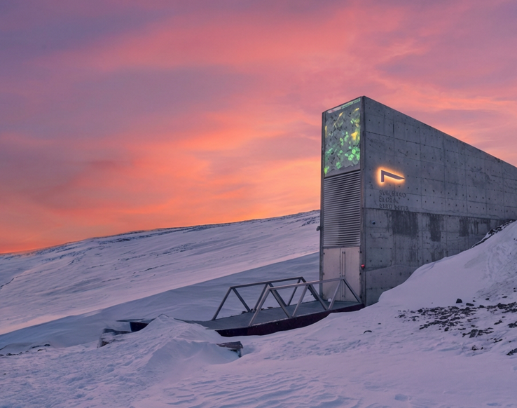 Svalbard Global Seed Vault: the “global seed bank”