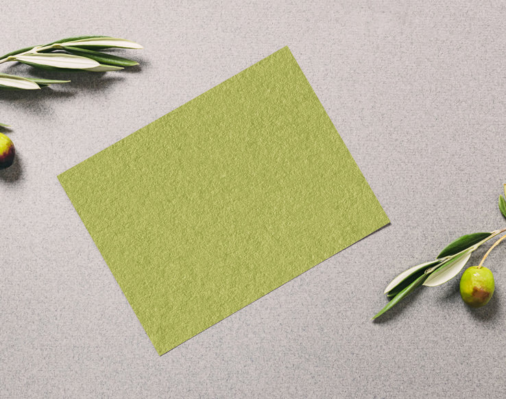 Paper Born from Olive Oil: Sustainability and Upcycling with Crush